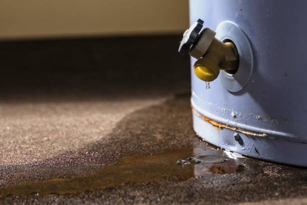 Best Professional water damage repair  in Dalton Gardens, ID