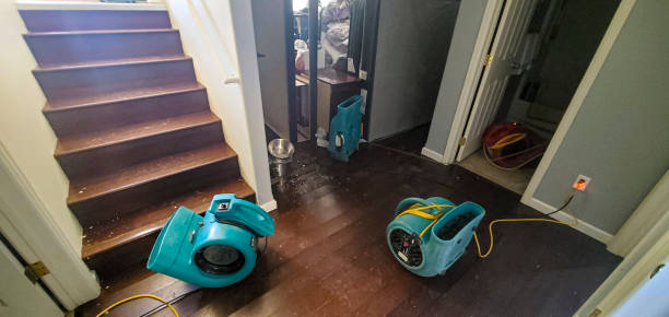 Professional Water damage restoration in Dalton Gardens, ID