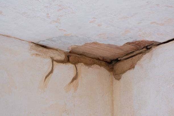 Best 24-hour water damage restoration  in Dalton Gardens, ID