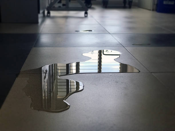 Best 24/7 water damage repair  in Dalton Gardens, ID