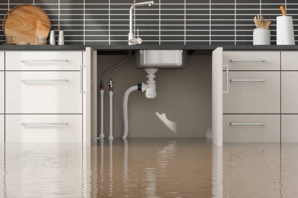 Best Flooded house restoration  in Dalton Gardens, ID