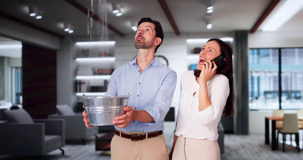 Best Mold removal after water damage  in Dalton Gardens, ID