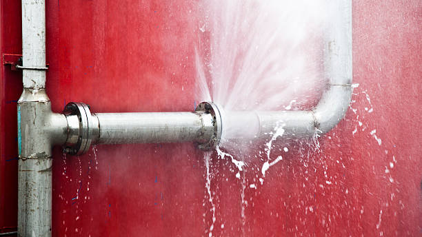 Best Local water damage restoration  in Dalton Gardens, ID